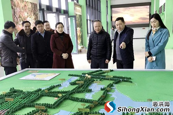 省旅游局调研泗洪县西南岗旅游资源情况
