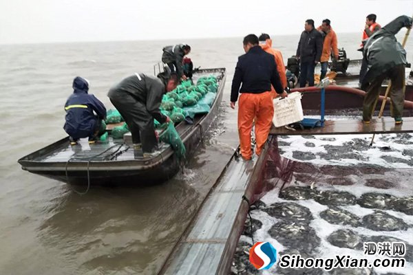 2018中国泗洪洪泽湖放鱼节公益活动正式启动