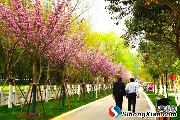 烈士陵园东侧广场提升改造景观工程