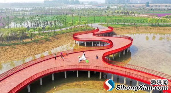 泗洪城区又多了一个新公园:尾水湿地生态公园