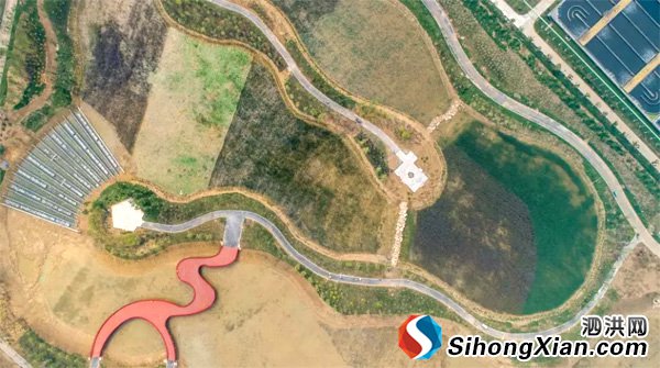 泗洪城区又多了一个新公园:尾水湿地生态公园
